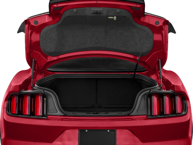 2018 Ford Mustang Shelby Shelby GT350