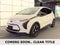 2023 Chevrolet Bolt EV 2LT