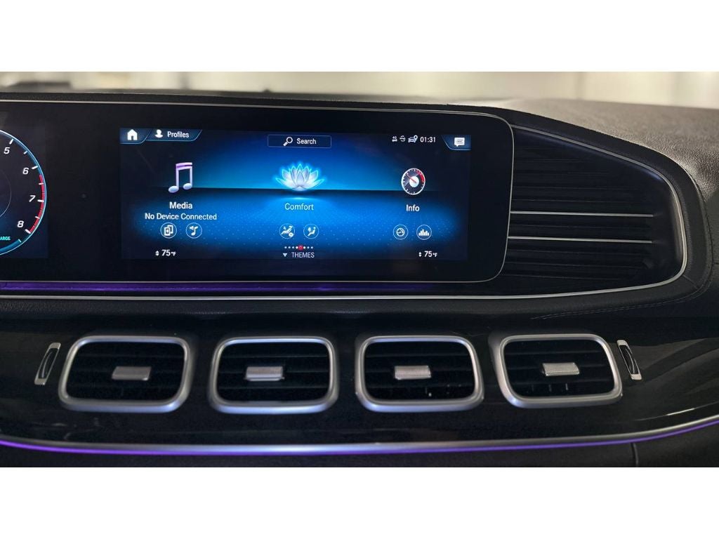 2020 Mercedes-Benz GLS GLS 580 4MATIC®