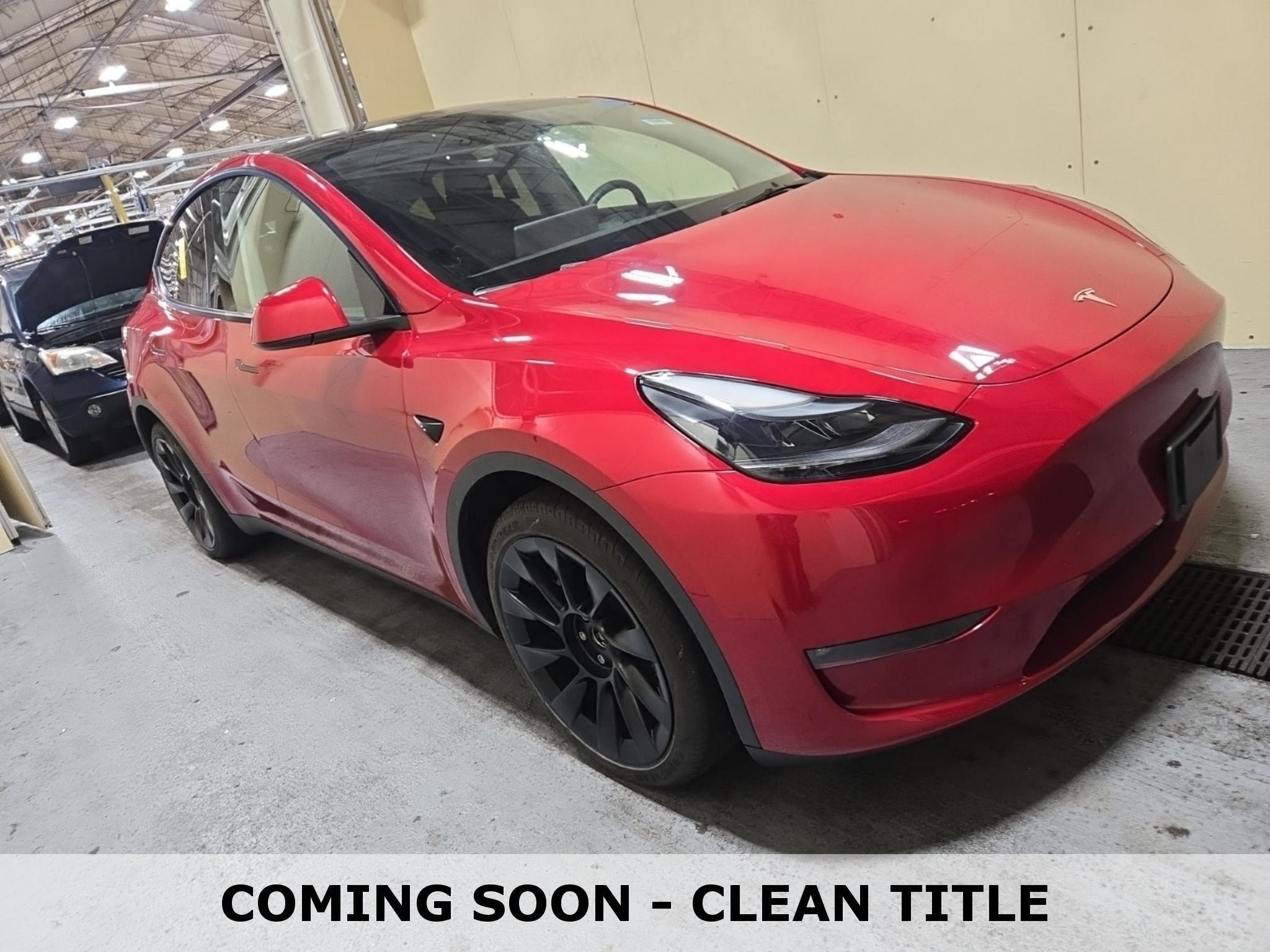 2023 Tesla Model Y