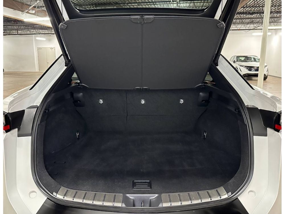 2024 Lexus RZ 450e Premium